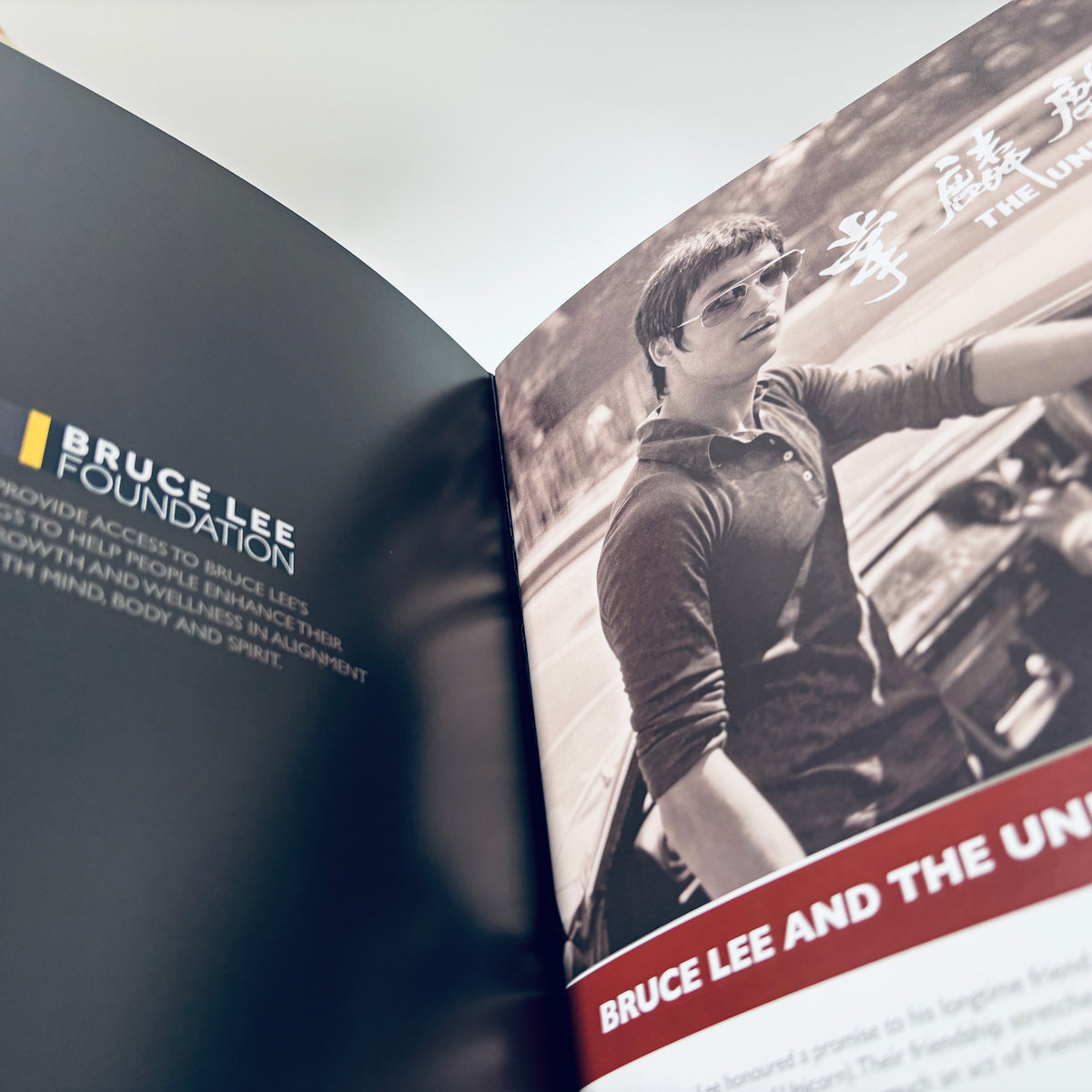 Bruce Lee The Unicorn Palm Fanzine Magazine Book