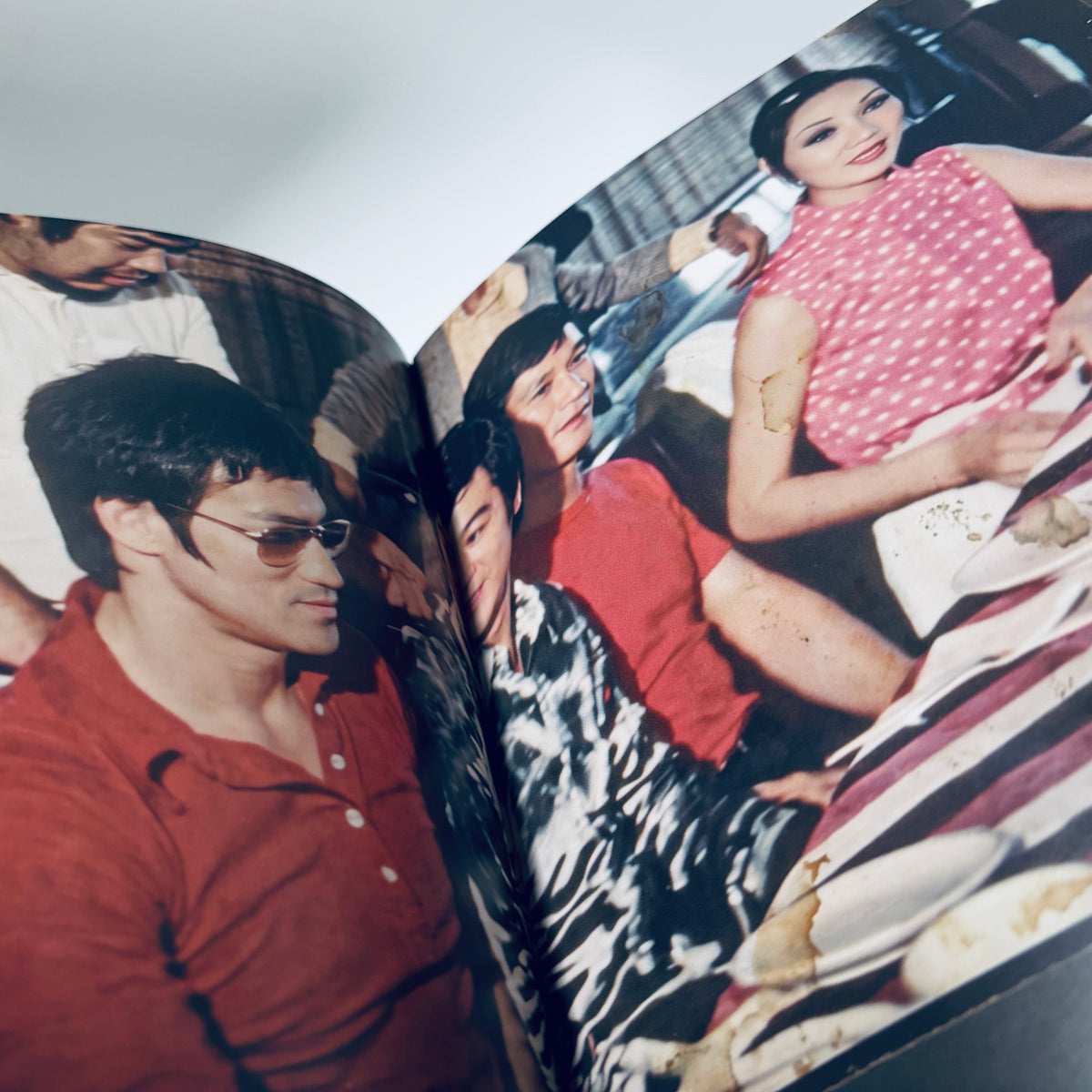Bruce Lee The Unicorn Palm Fanzine Magazine Book