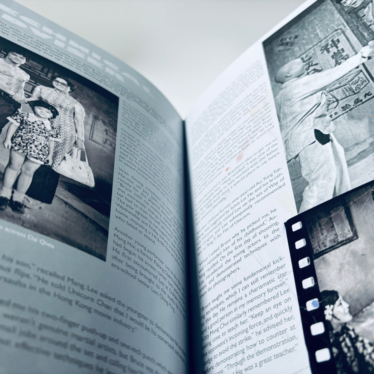 Bruce Lee The Unicorn Palm Fanzine Magazine Book