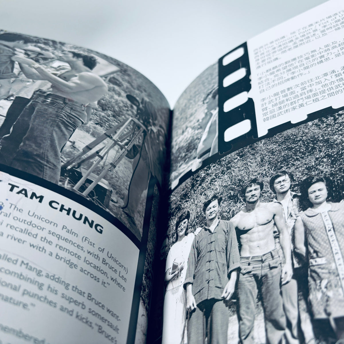 Bruce Lee The Unicorn Palm Fanzine Magazine Book